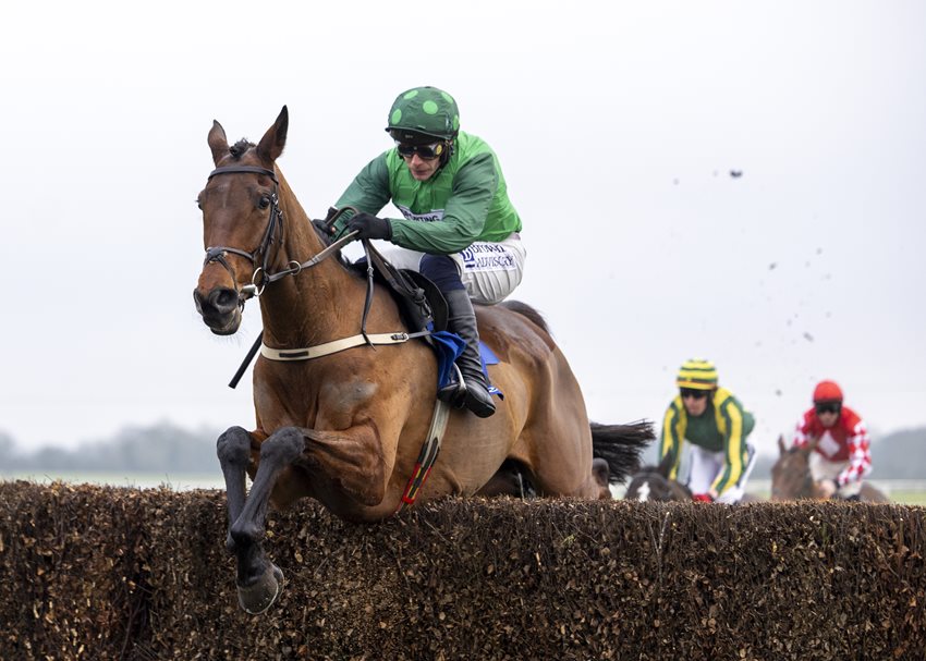 Fantastic Fifteen Remain in €100,000 SBK Dan & Joan Moore Memorial Chase 