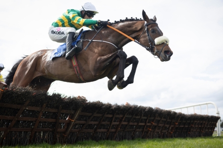 Saturday 25 January - Solerina Mares Novice Hurdle 